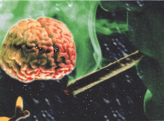 Marijuana and the Human Brain