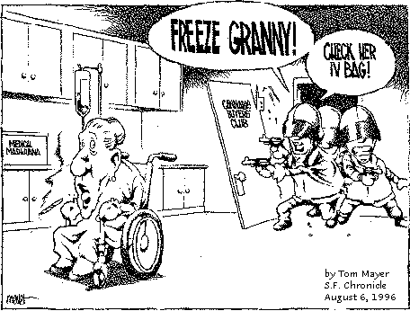Cartoon - 'Freeze_Granny'
